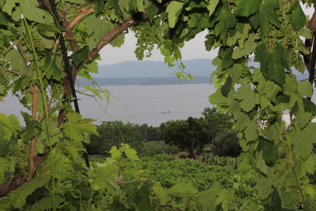 Holiday Home Vineyard House Бол Номер фото