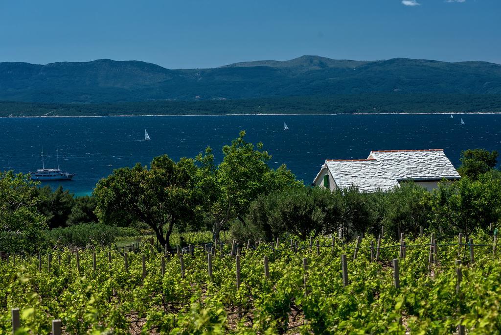 Holiday Home Vineyard House Бол Екстер'єр фото
